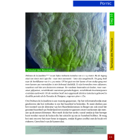 Mythische Stenen Deel 11: Bretagne